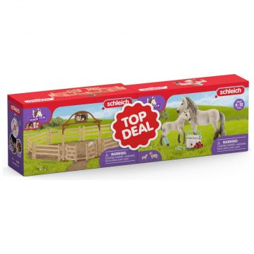 Schleich Horse Club Bundle 72242