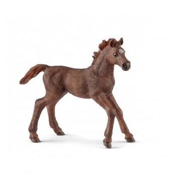 Schleich Horse Club Paard Engelse Volbloed Veulen 13857 