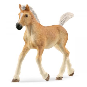 Schleich Horse Club Haflinger veulen 13951