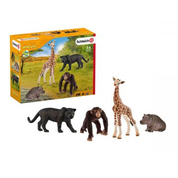 Schleich Wild Life Starter set 72162