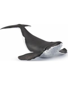 Papo Wild Life Walvis Kalf 56035